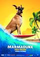 poze marmaduke 2010