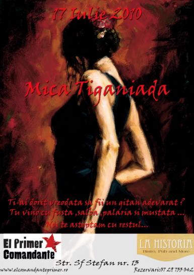 mica tiganiada in el primer comandante din bucuresti