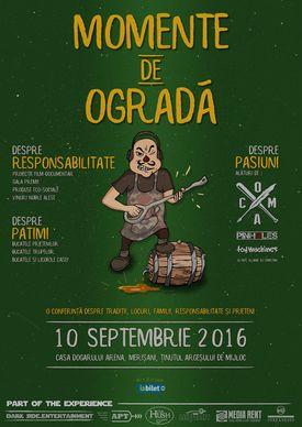 poze  momente de ograda 2016