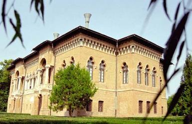 poze muzica la palatele brancovenesti