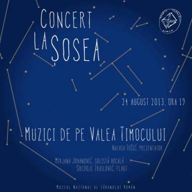 poze muzici de pe valea timocului concert la sosea