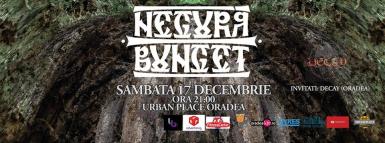 poze negura bunget live la urban place oradea