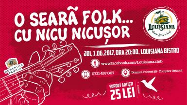 poze o seara de folk cu nicu nicusor