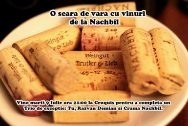 poze o seara de vara cu vinuri de la nachbil