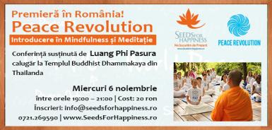 poze peace revolution workshop de meditatie si mindfulness