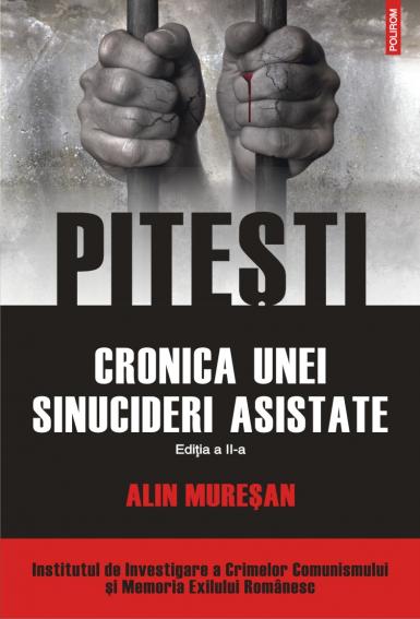 poze proiectul fenomenul pitesti 