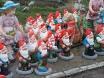 poze rascoala piticilor in satu mare