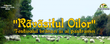 poze ravasitul oilor bran 2014