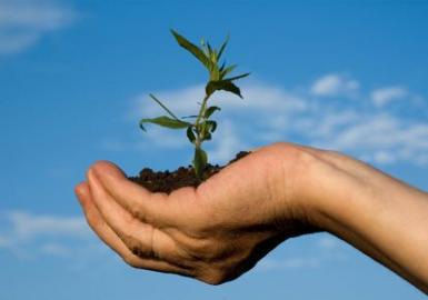 poze recycle in
