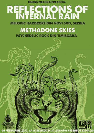 poze release the kitten la timisoara