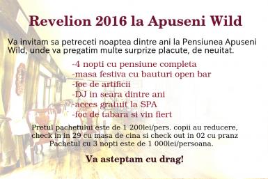 poze revelion 2016 pensiunea apuseni wild