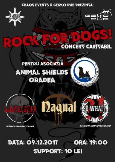 poze rock for dogs at gekko pub