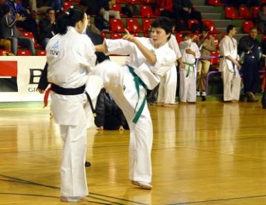 poze romanian open 2009 la karate kyokushin