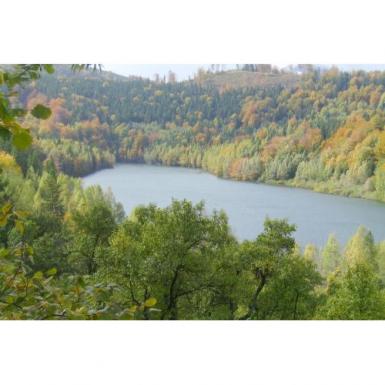 poze scoala de vara sars
