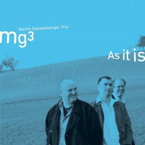 poze seara de jazz alaturi de mg3 martin gasselsberger trio la green hours