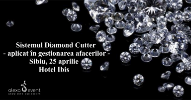 poze sibiu sistemul diamond cutter aplicat in gestionarea afacerilor