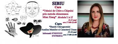 poze sibiu tehnici de citire a chipului si analiza mainilor