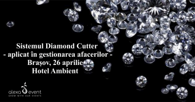 poze sistemul diamond cutter aplicat in gestionarea afacerilor bra ov