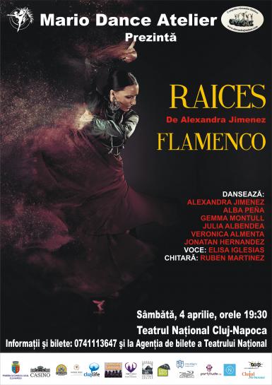 poze spectacol flamenco raices alexandra jimenez 