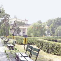 poze spectacole in parcurile bucurestene