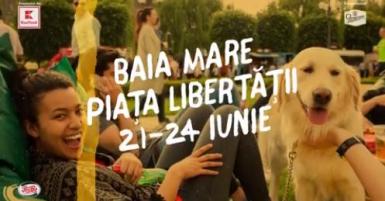 poze street food festival baia mare