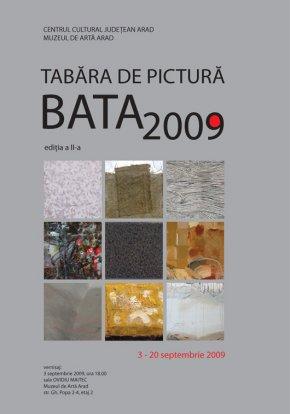 poze taberei de pictura de la bata la expozitie