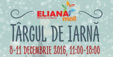 poze targul de iarna la eliana mall