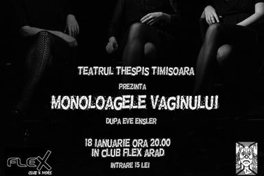 poze teatru monoloagele vaginului