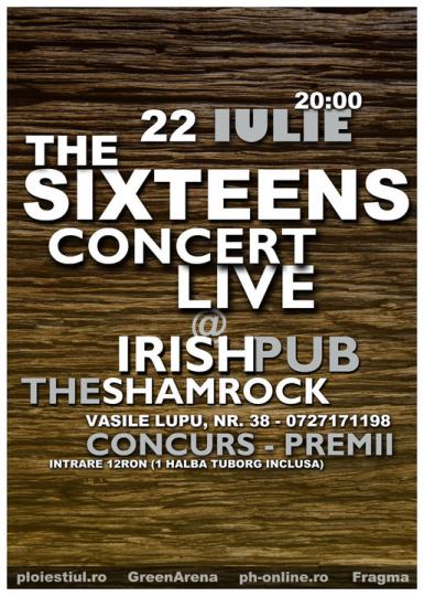 poze the sixteens in irish pub