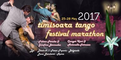 poze timisoara tango festival 5