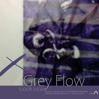 poze tudor jucan grey flow