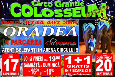 poze ultimele 4 zile de circ la oradea shopping city