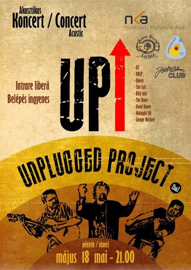 poze up unplugged project concert
