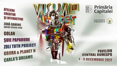 poze visual art fest 