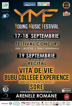 poze young music festival