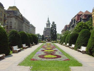 poze youthbank in timisoara