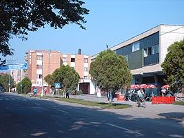 poze zilele ineului 2009