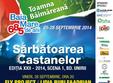 sarbatoarea castanelor 2014