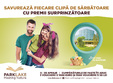 activita i si targ de pa te pentru copii la parklake