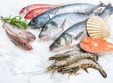 alfredo seafood pestele ultra proaspat reprezinta la ora actuala