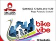 bike vibe 2014 la iasi