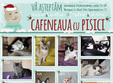 poze cafeneaua cu pisici editia de craciun 2014