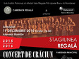 camerata regala i rebekka hartmann in concert extraordinar de c