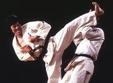 campionat international de karate