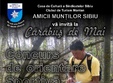 carabusul de mai