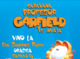 caravana garfield la oradea