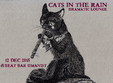 cats in the rain concert de dramatic lounge music