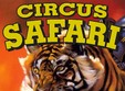 poze circus safari