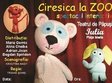 ciresica la zoo