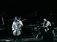 concert adrian naidin jazz band
